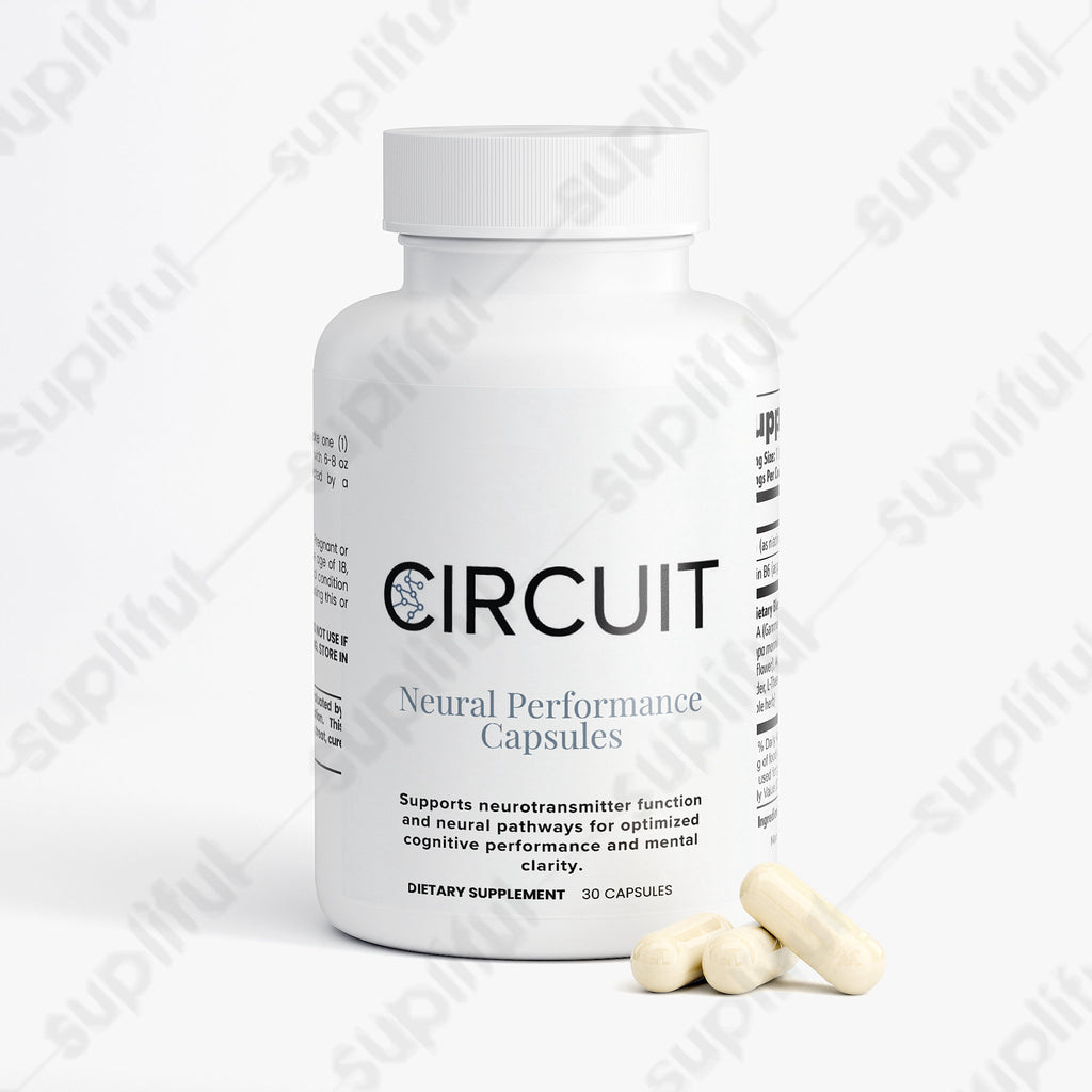 Circuit Neural Performance — 3 Pack