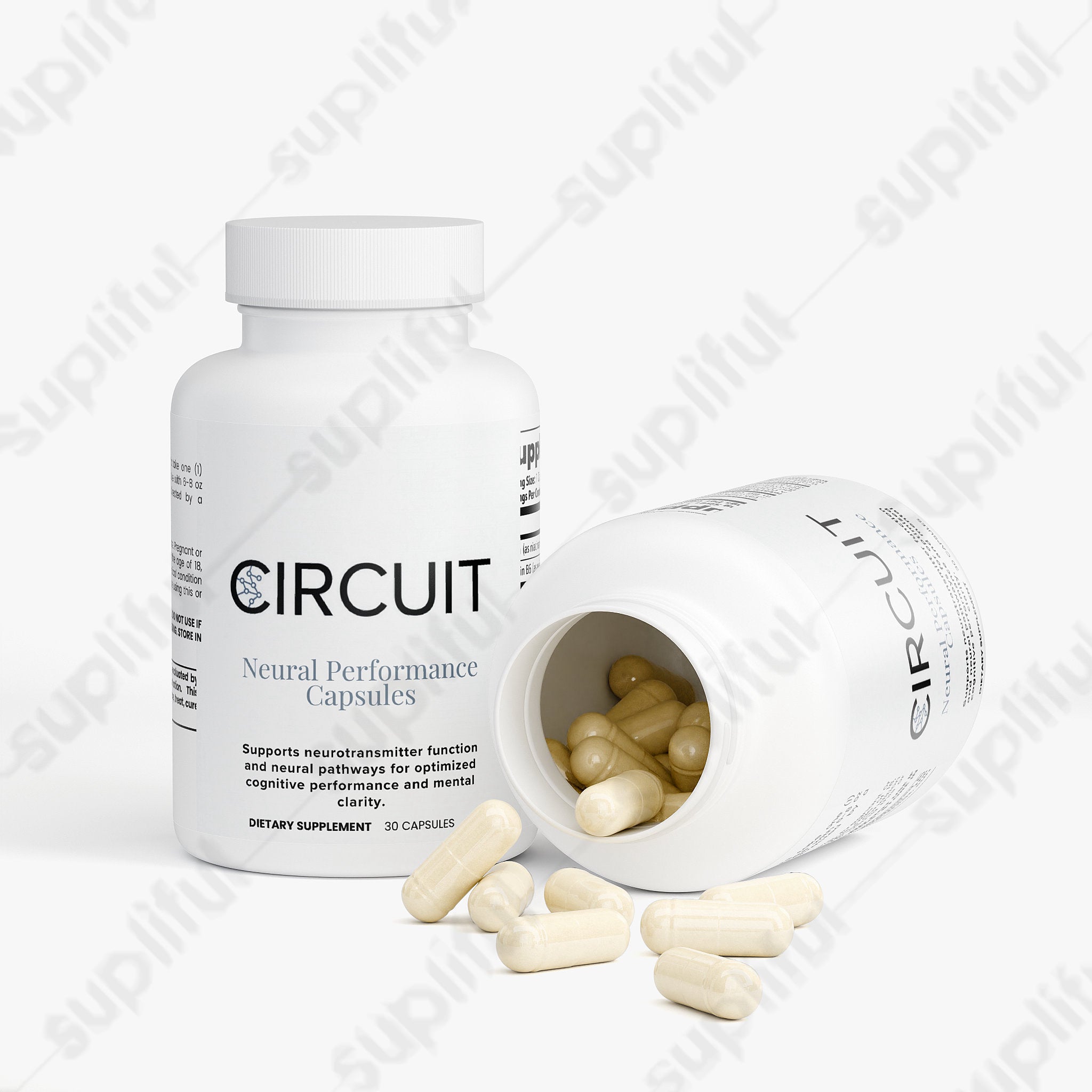 Circuit Neural Performance — 2 Pack